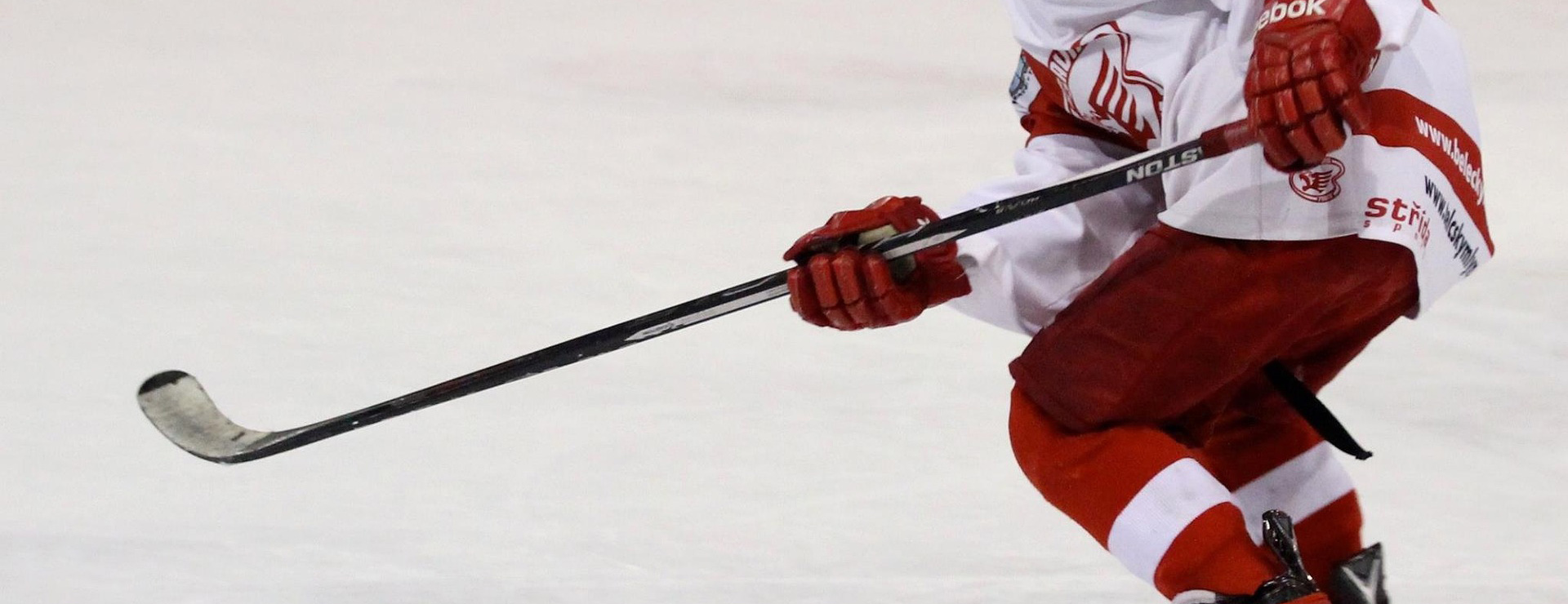 True Hockey -True Hockey player 2391708 1920